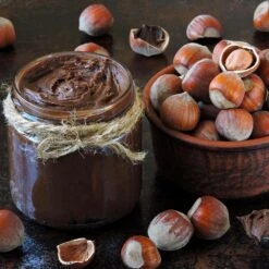 American Hazelnut Filbert -Evergreen Store American Hazelnut 1