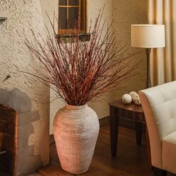 Arctic Fire® Red Twig Dogwood -Evergreen Store Arctic Fire Twig Dogwood 6 FGT