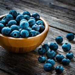 Aurora Blueberry Bush -Evergreen Store Aurora Blueberry 4