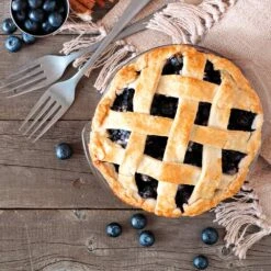 Aurora Blueberry Bush -Evergreen Store Aurora Blueberry 5