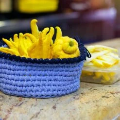 Buddha's Hand Citron Tree -Evergreen Store BUddhas Hand Citrus 6 FGT 8e440ac0 ef1a 452e 8576 5c1e7bf4eb5a