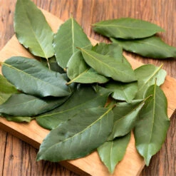 Bay Laurel - USDA Organic -Evergreen Store Bay Laurel Shrub 70851327 054d 48bc b9c4 4f2b83269688