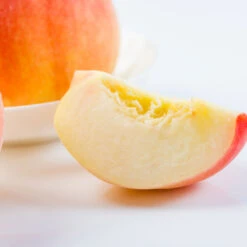 Belle Of Georgia Peach Tree (USDA Organic) -Evergreen Store Belle of Georgia 3