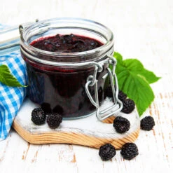 Big Daddy Blackberry Bush -Evergreen Store Big Daddy Blackberry 3