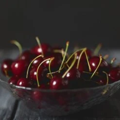 Black Tartarian Cherry Tree -Evergreen Store Black Tartarian Cherry Tree 2 FGT