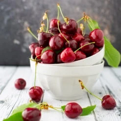 Brooks Cherry Tree -Evergreen Store Brooks Cherry Tree 5 FGT