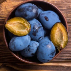 Brooks Plum Tree -Evergreen Store Brooks Plum 2