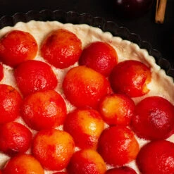 Bubblegum 'Toka' Plum Tree -Evergreen Store Bubblegum Toka Plum 3