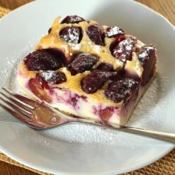 Burgundy Plum Tree -Evergreen Store Burgundy Plum 3