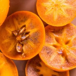 Chocolate Persimmon Tree -Evergreen Store CHocolate Persimmon 2