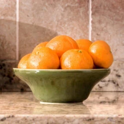 Calamondin Bush -Evergreen Store Calamondin Bush 4