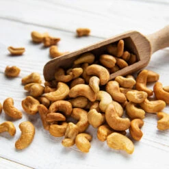 Cashew Tree -Evergreen Store Cashew Nut Tree 5