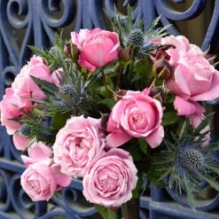 Cathedral Bells Rose -Evergreen Store Cathedral Bells Rose Tree 2