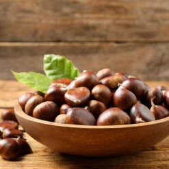 Chinese Chestnut Tree 9 Chinese Chestnut Tree -Evergreen Store Chinese Chestnut 3 FGT