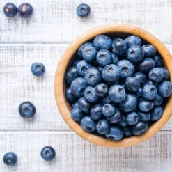 Climax Blueberry -Evergreen Store Climax Blueberry 4