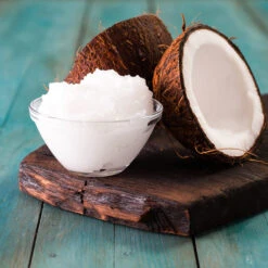 Coconut Palm Tree 11 Coconut Palm Tree -Evergreen Store Coconut Palm 3 FGT