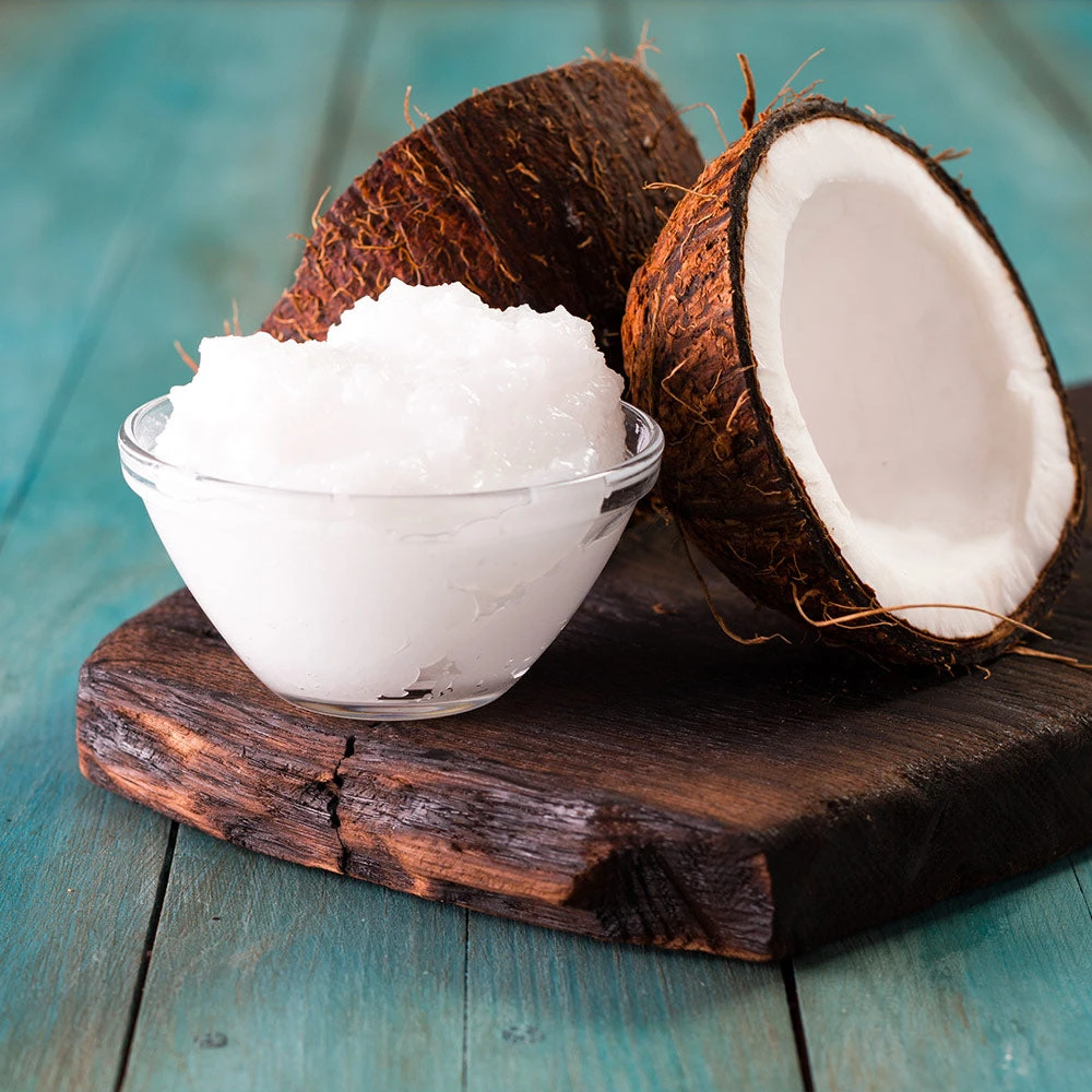 Coconut Palm Tree 6 Coconut Palm Tree - Image 6