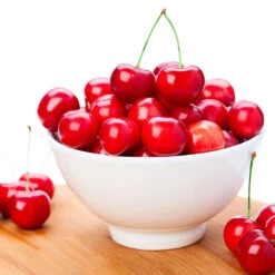 Coral Champagne Cherry Tree -Evergreen Store Coral Champagne Cherry Tree 4 FGT