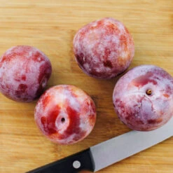 Dapple Dandy Pluot Tree -Evergreen Store Dapple Dandy 2