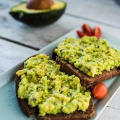 Condo™ Avocado Tree -Evergreen Store Day Condo Avocado 2