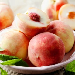 Early White Giant Peach Tree -Evergreen Store Early White Giant Peach Tree 450 D1