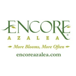 Autumn Embers® Encore® Azalea -Evergreen Store Encore Logo 1000x1000 1adc0cf2 16e4 49a6 9093 928a385a7d6f