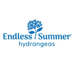 Endless Summer® Summer Crush® Hydrangea -Evergreen Store Endless Summer Hydrangeas 1000x1000 347a4889 45a5 42f4 94f1 e0220955e380