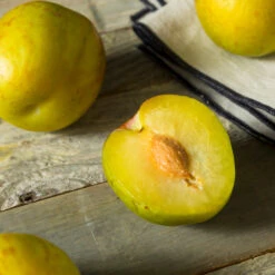 Flavor Queen Pluot® -Evergreen Store Flavor Queen Pluot 2