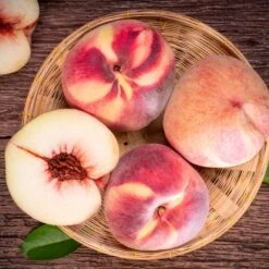 Indian Free White Peach Tree 7 Indian Free White Peach Tree -Evergreen Store Indian Free Peach 3 FGT