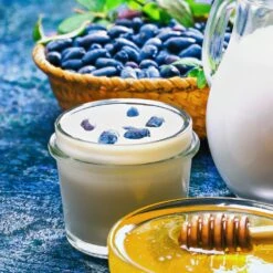 Indigo Gem Haskap (Honeyberry) 7 Indigo Gem Haskap (Honeyberry) -Evergreen Store Indigo GEm Haskap 1