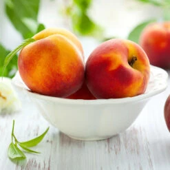 June Gold Peach Tree -Evergreen Store June Gold peaches 4