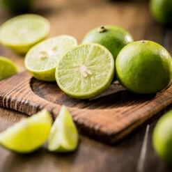 Key Lime Tree - USDA Organic 9 Key Lime Tree - USDA Organic -Evergreen Store Key Lime Tree 5 FGT da9b0536 ead5 46ca b8b5 d82cfb777942