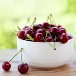 Lapins Cherry Tree -Evergreen Store Lapins Cherry Tree 2 FGT 325a18e6 7143 4729 a41b b0d9614909b8