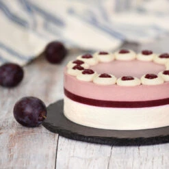 Methley Plum Tree -Evergreen Store Methley Plum 5 d1cf4da0 c7c8 4a54 8dce 9916c07f2fa6