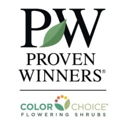 Bobo® Hydrangea Shrub -Evergreen Store PW Logo CC 1000x1000 55dac6d7 bd17 4a95 bca3 c243520b7d2c