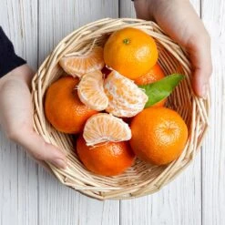 Page Mandarin Tree -Evergreen Store Page Mandarin Tree 2 FGT