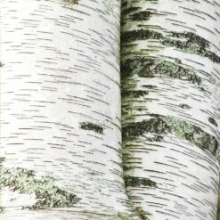 White Birch Tree -Evergreen Store Paper White Birch 2