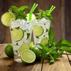 Persian 'Bearss' Lime Tree -Evergreen Store Persian Lime Tree 4 FGT