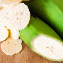 Puerto Rican Plantain Banana Tree -Evergreen Store Puerto Rican Plantain Banana Tree 3