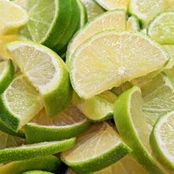 Persian 'Bearss' Lime Bush -Evergreen Store Pursian Lime Bush 1 FGT 8e948345 4f0b 4e96 a96f a17b7b31b7ab