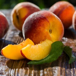 Red Baron Peach Tree -Evergreen Store Red Baron Peach 4