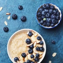 Reveille Blueberry Bush 5 Reveille Blueberry Bush -Evergreen Store Reville Blueberry 2