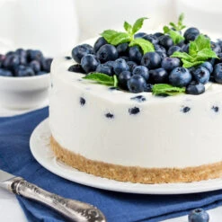 Sunshine Blue Blueberry Bush 7 Sunshine Blue Blueberry Bush -Evergreen Store SUnshine BLue Blueberry 4