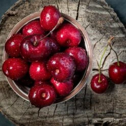 Santina™ Cherry Tree -Evergreen Store Santina Cherry 1