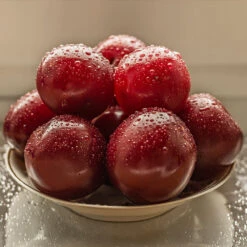 Satsuma Plum Tree -Evergreen Store Satsuma Plum 3