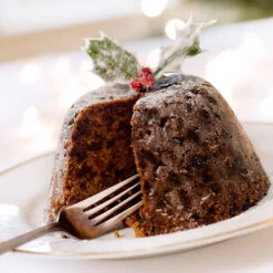 Satsuma Plum Tree -Evergreen Store Satsuma Plum 4