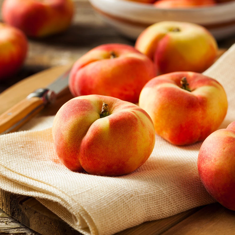 Donut Saturn Peach Tree 2 Donut Saturn Peach Tree - Image 2