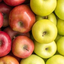 4-in-1 Apple Surprise Tree -Evergreen Store Surprise Apple 1 fd4b319d eb68 4ca8 b9dc 6ed8dd5560c3