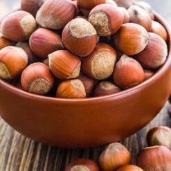 Tonda Di Giffoni Filbert -Evergreen Store Tonda Hazelnuts 400 2
