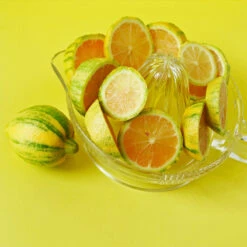 Pink Variegated Eureka Lemon Tree 10 Pink Variegated Eureka Lemon Tree -Evergreen Store Variegated Pink Eureka 3